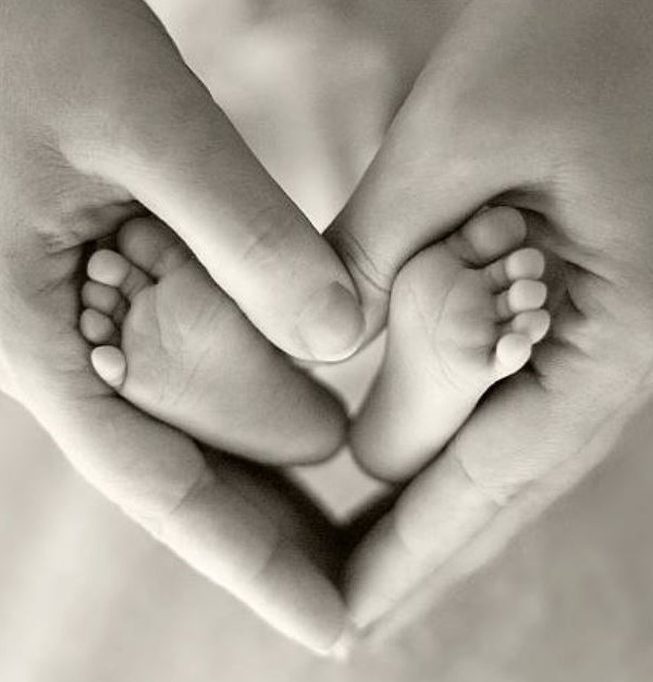 Ledebuhr Law has unmatched experience in fertility law and adoption law